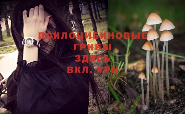 ALPHA PVP Алзамай