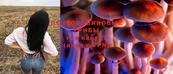 мяу мяу мука Алексин