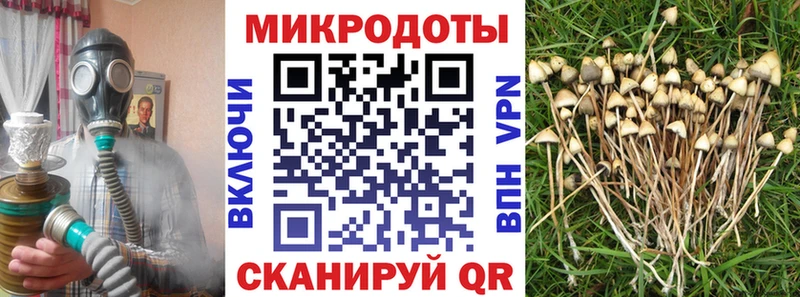 Галлюциногенные грибы Psilocybine cubensis  Орехово-Зуево 