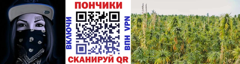 цены   Орехово-Зуево  даркнет телеграм  Шишки марихуана планчик 